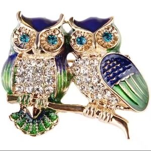New Twin Owls Crystal Brooch Blue Green Fall Autumn Gift Hat Scarf Bag Jacket